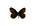 Eismohrenfalter (Erebia pluto)