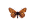 /PicturesNA/ButterflyLogos/Melitaea_cinxia_male_logo_36_26.png