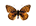 /PicturesNA/ButterflyLogos/Argynnis_niobe_logo_36_26.png