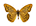 Kaisermantel (Argynnis paphia)