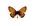 Randring-Perlmuttfalter (Boloria eunomia)
