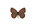 Stromtal-Wiesenvögelchen /PicturesNA/ButterflyLogos/Coenonympha_oedippus_logo_36_26.png