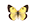 /PicturesNA/ButterflyLogos/Colias_erate_male_logo_36_26.png
