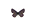 Kleiner Alpen-Bläuling /PicturesNA/ButterflyLogos/Cupido_osiris_male_logo_36_26.png