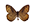 /PicturesNA/ButterflyLogos/Hipparchia_semele_male_logo_36_26.png