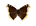 /PicturesNA/ButterflyLogos/Nymphalis_antiopa_borealis_logo_36_26.png