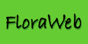 FloraWeb