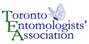 Toronto Entomologists' Association