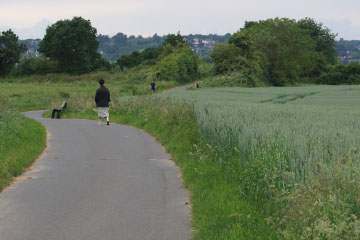 Meßdorfer Feld (Bonn) without flower strips (2026) Meßdorfer Feld (Bonn) without flower strips (2026)