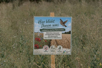 Meßdorfer Feld (Bonn): Landwirte machen Naturschutz Meßdorfer Feld (Bonn): Landwirte machen Naturschutz